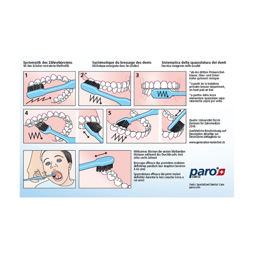 Zahnputzanleitung,1 x 10 Stk.