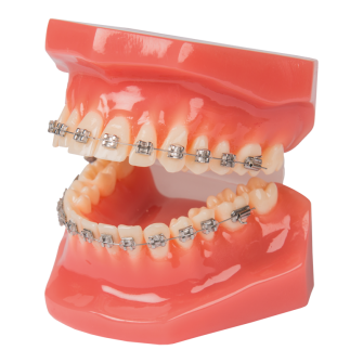 paro® Bracket-Modell,1 Stk.