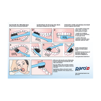 Zahnputzanleitung,1 x 10 Stk.