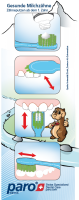 Zahnputzanleitung Gesunde Milchzähne,1 x 10 Stk.