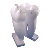 Styropor-Zahn gross, teilbar,1 Stk.